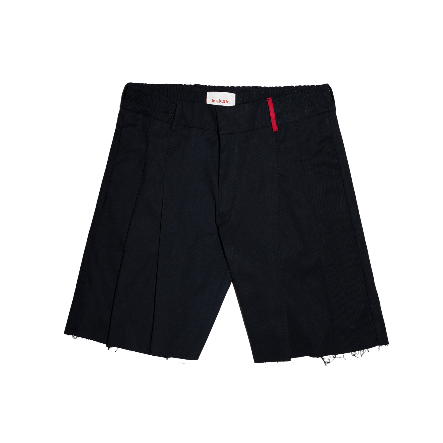 Classic Torn Shorts