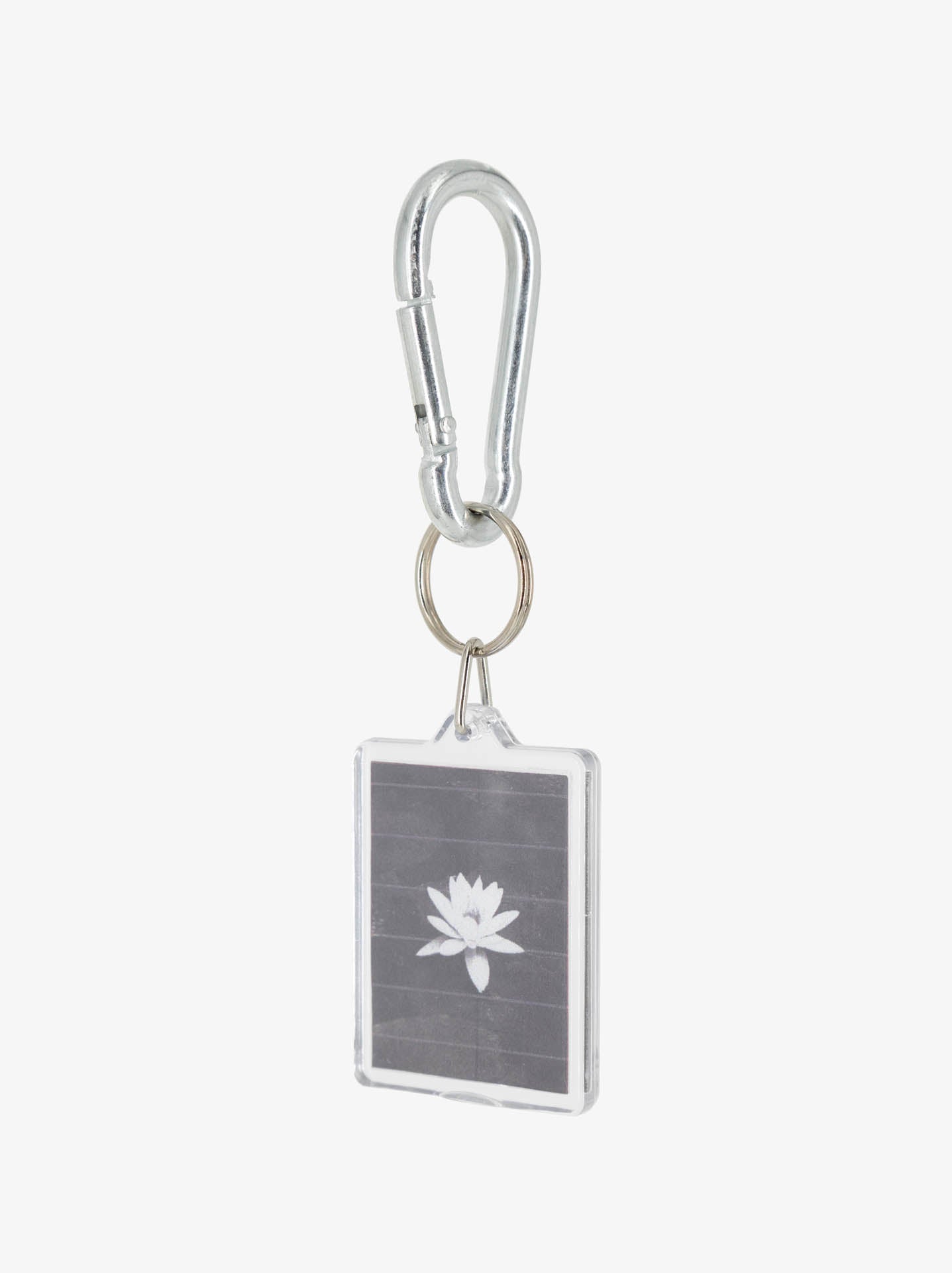black-lotus
