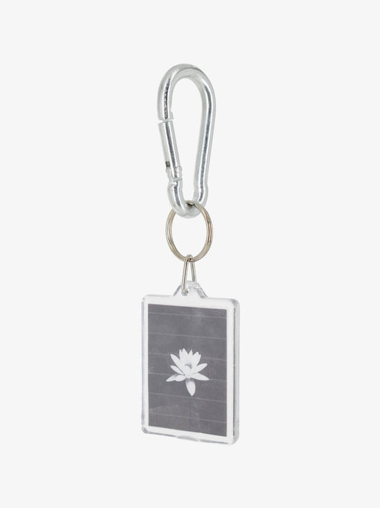 black-lotus
