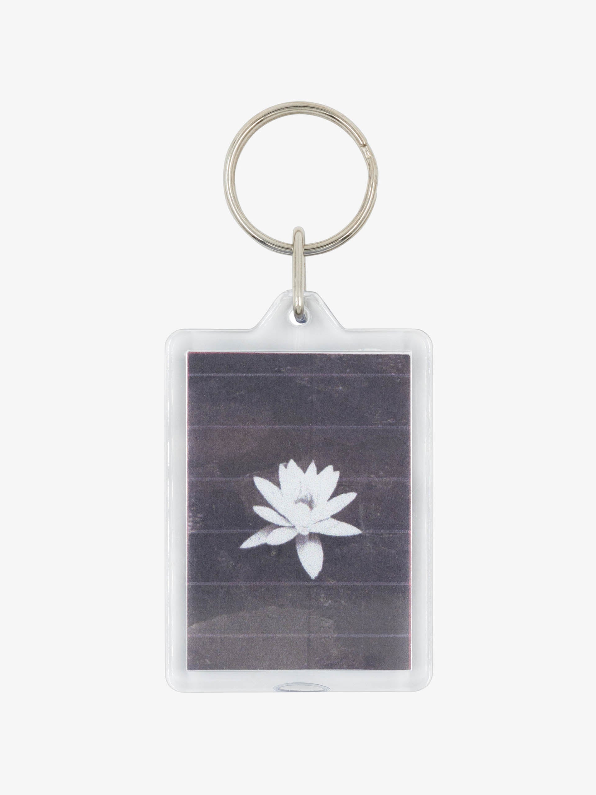 black-lotus